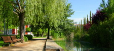 Detalle de un parque