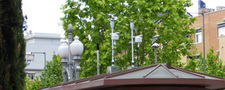 Medio Ambiente