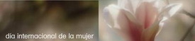 Logo Día Internacional de la Mujer