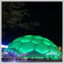 La Casa Consistorial y la Cúpula del Milenio se iluminan de color verde con motivo del Día Internacional Contra el Cáncer