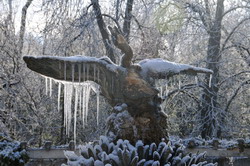Fuente del Cisne
