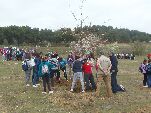 Los escolares terminan la plantación de uno de los árboles