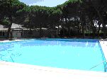 Imagen de la piscina del Círculo Campestre en el Pinar de Antequera