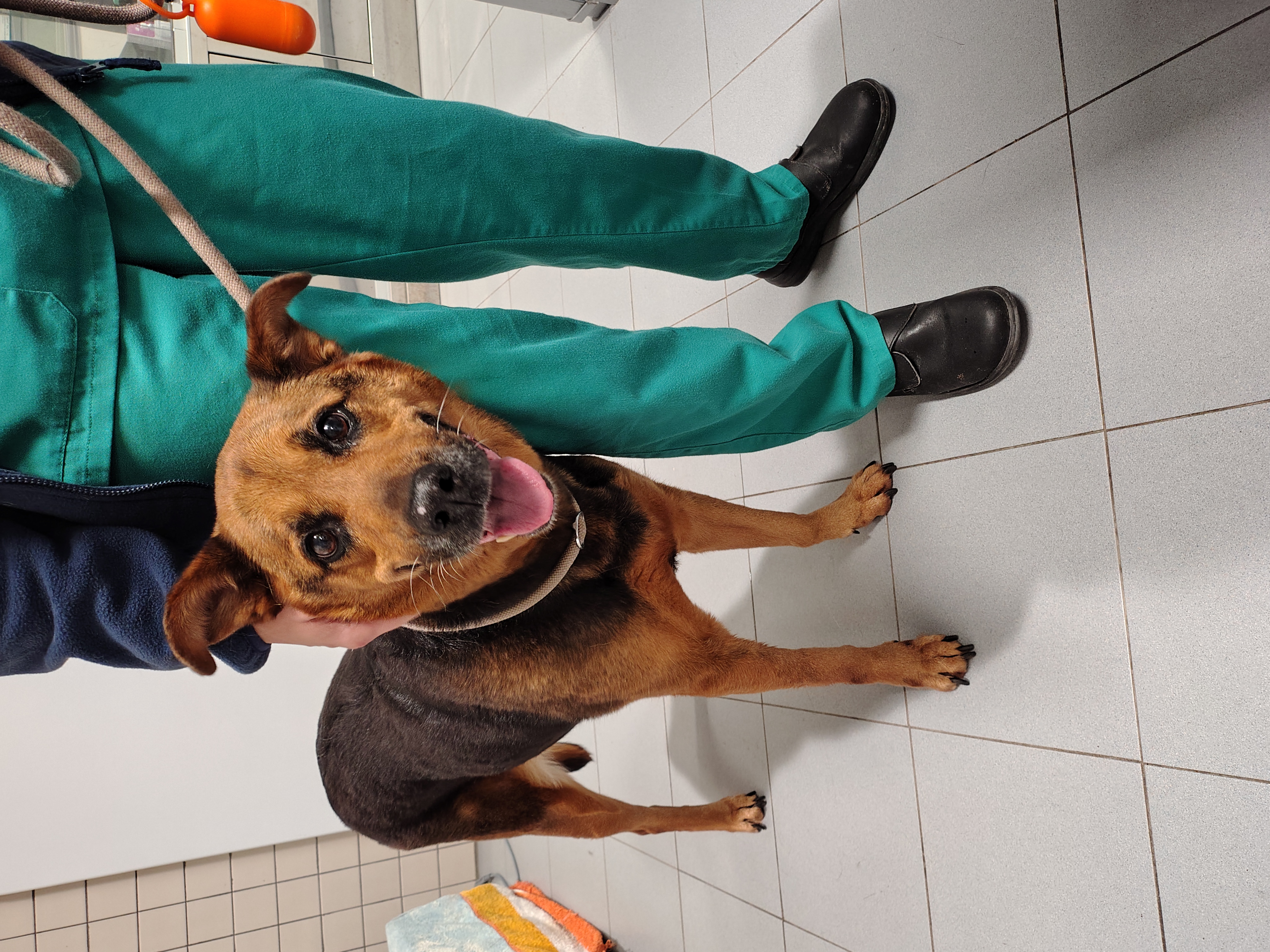 IMG_20251216_130337103_HDR