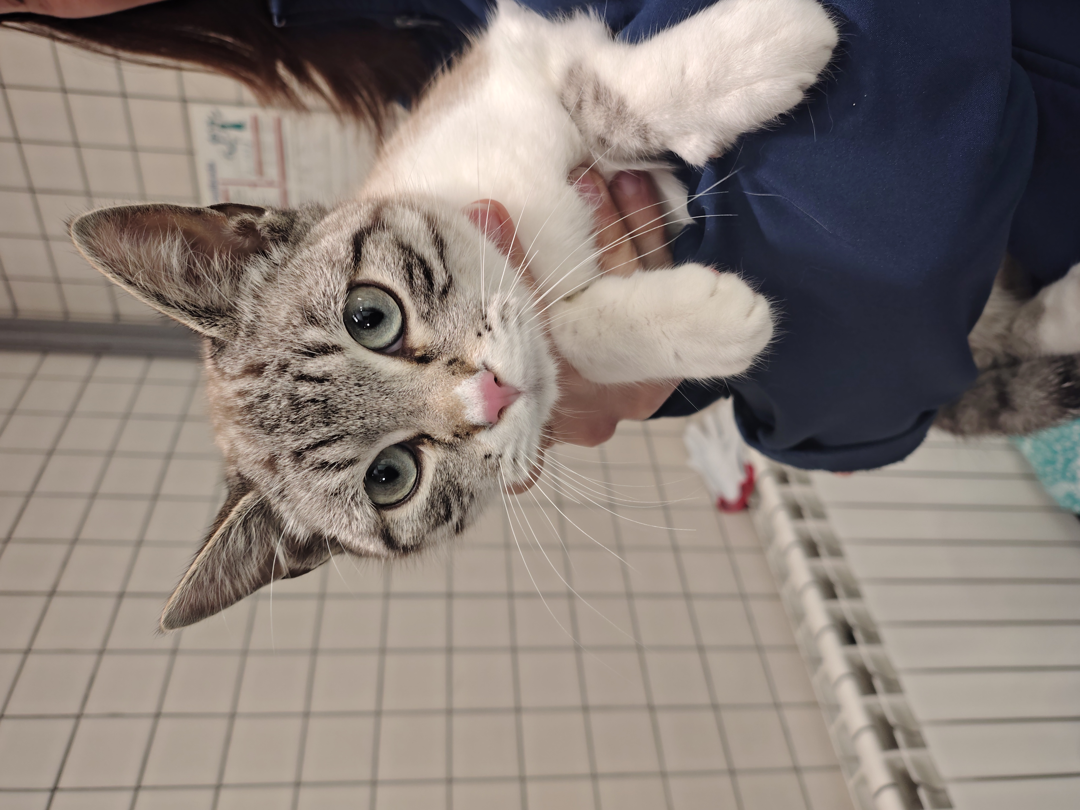 IMG_20260316_110136811_HDR