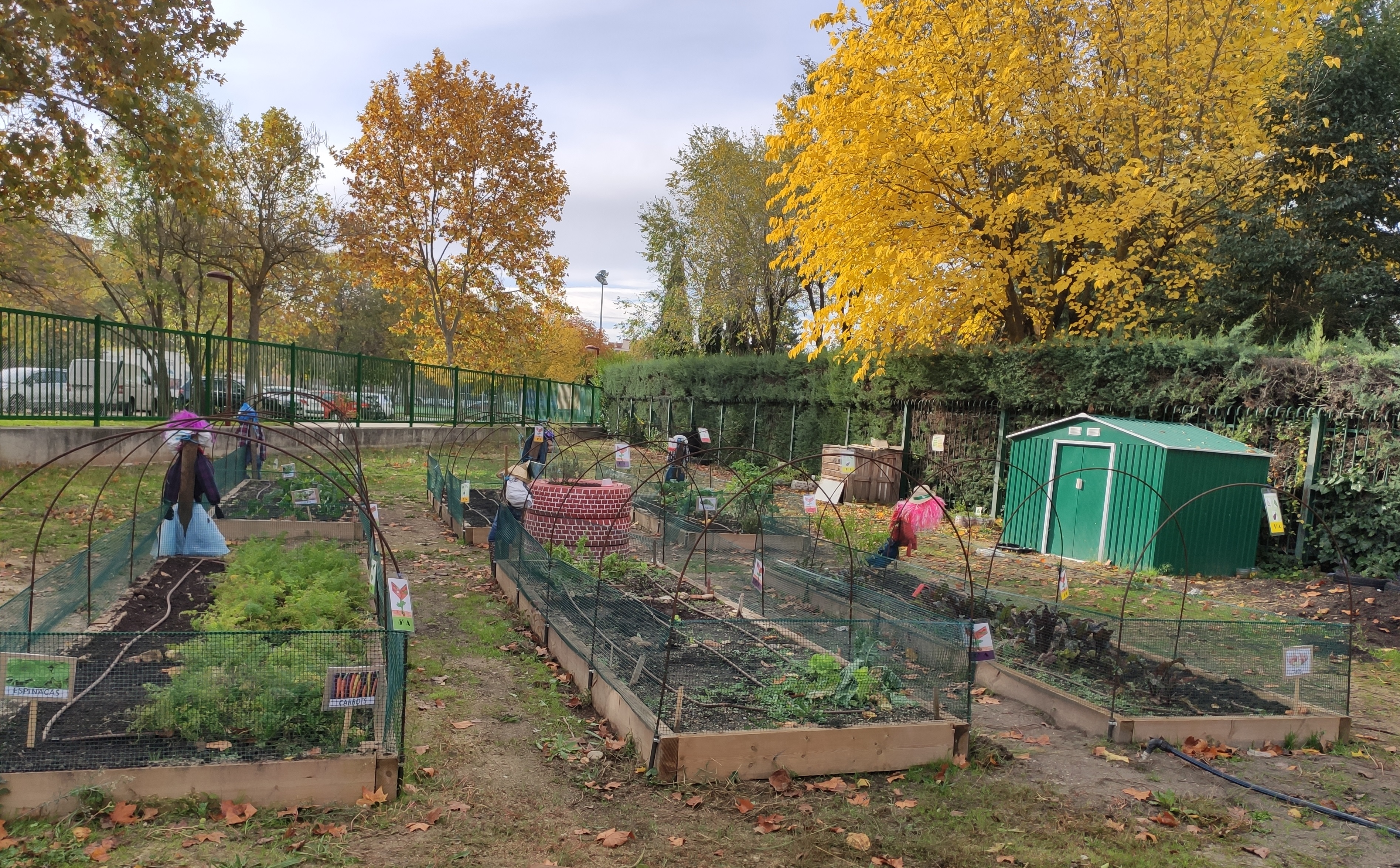 Huerta E.I.M. El Principito