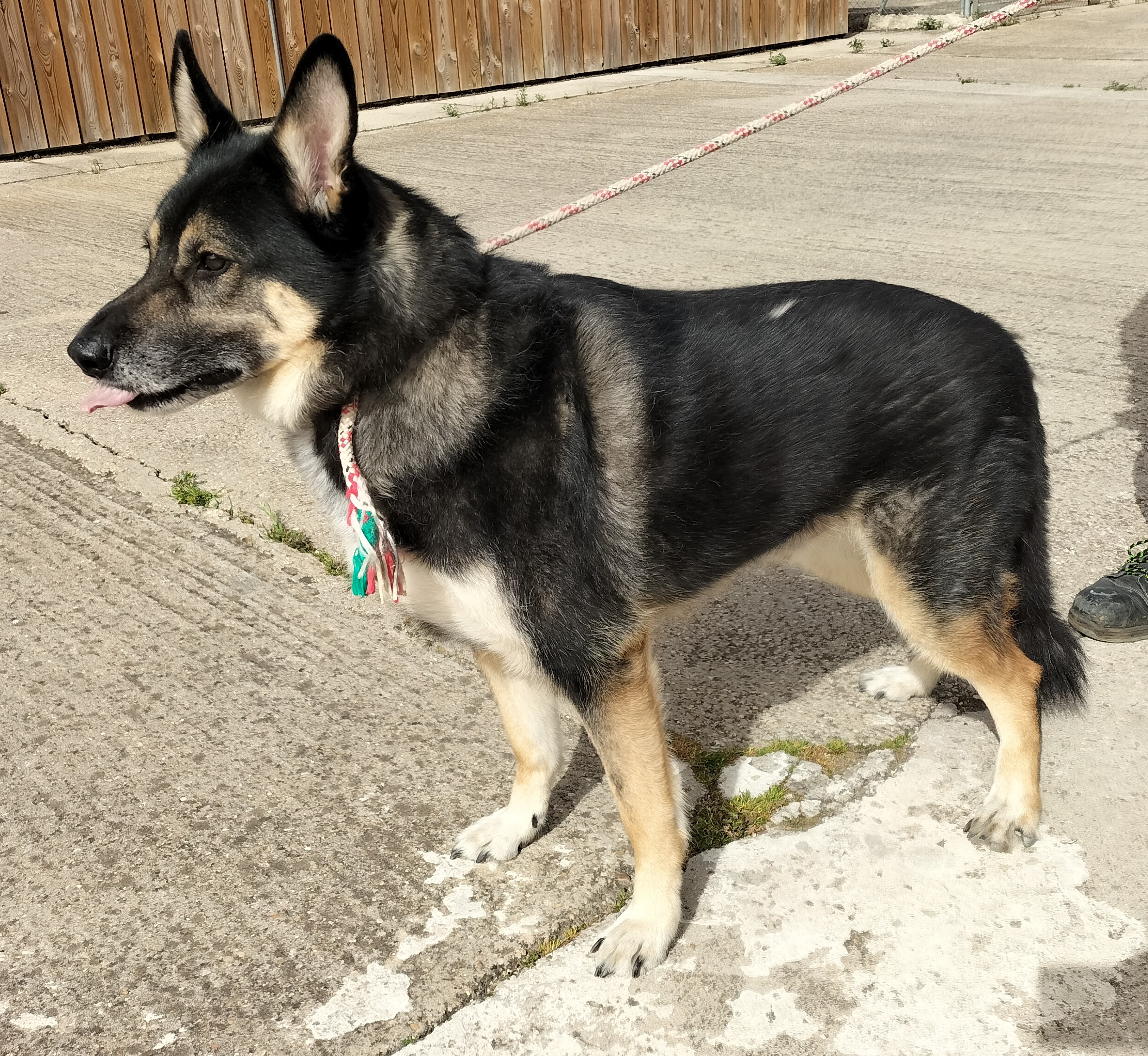 KUMA