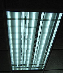 Detalle de luminaria interior LEDS