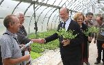 El alcalde recibe una planta en INEA