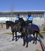 Dos policías municipales a caballo en las inmediaciones del Centro Cultural Miguel Delibes