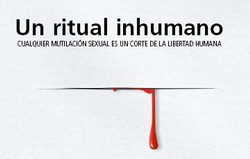 Logo Jornada Ablación