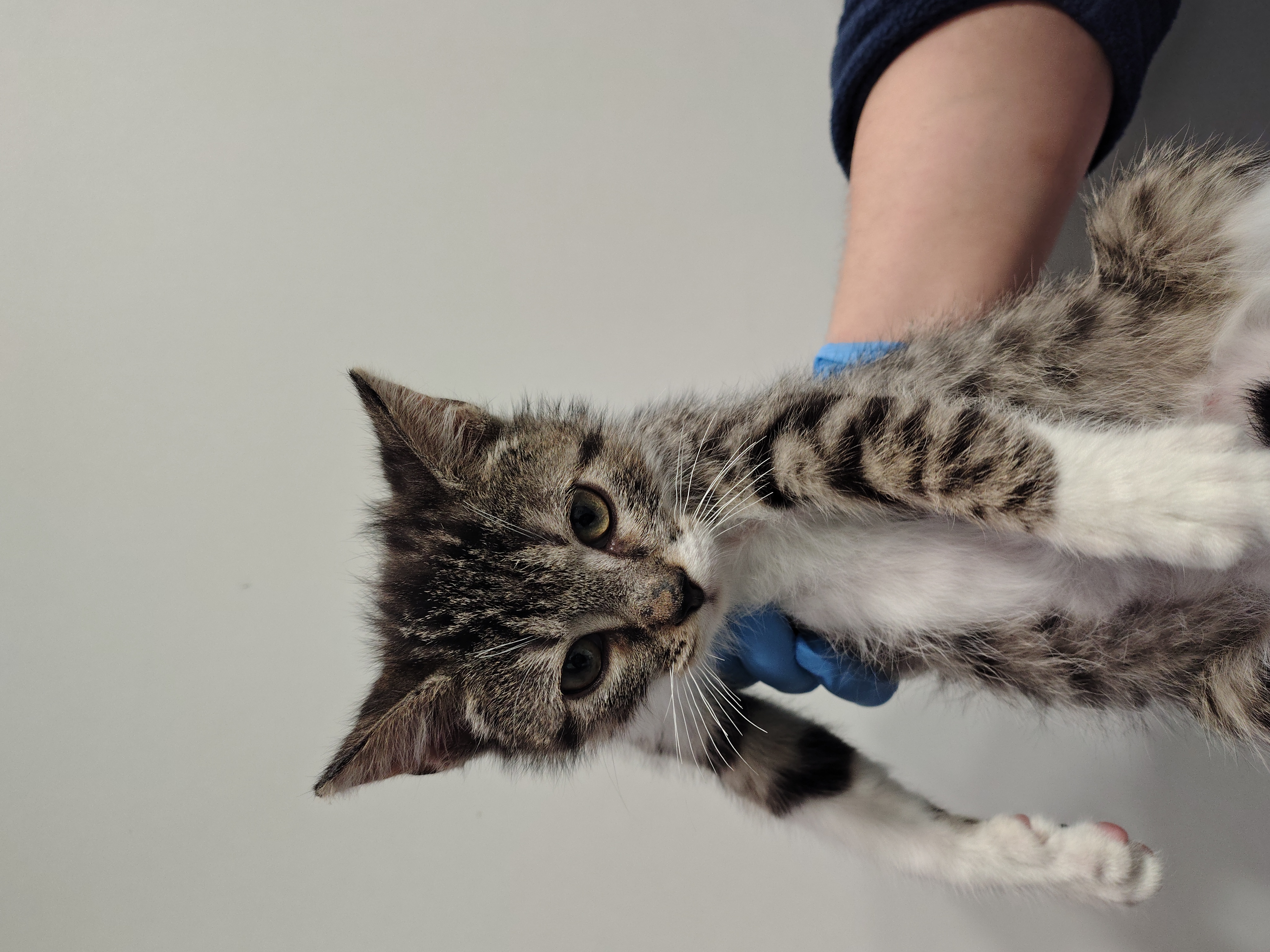 IMG_20251212_115852541_HDR