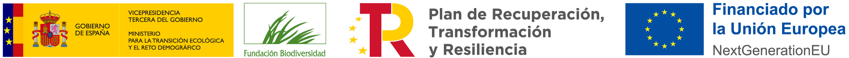 VICE3+MTERD+FB+PRTR+NEXT_Bandera_Color