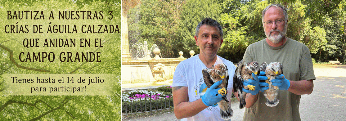 banner bautiza 3 aguilas