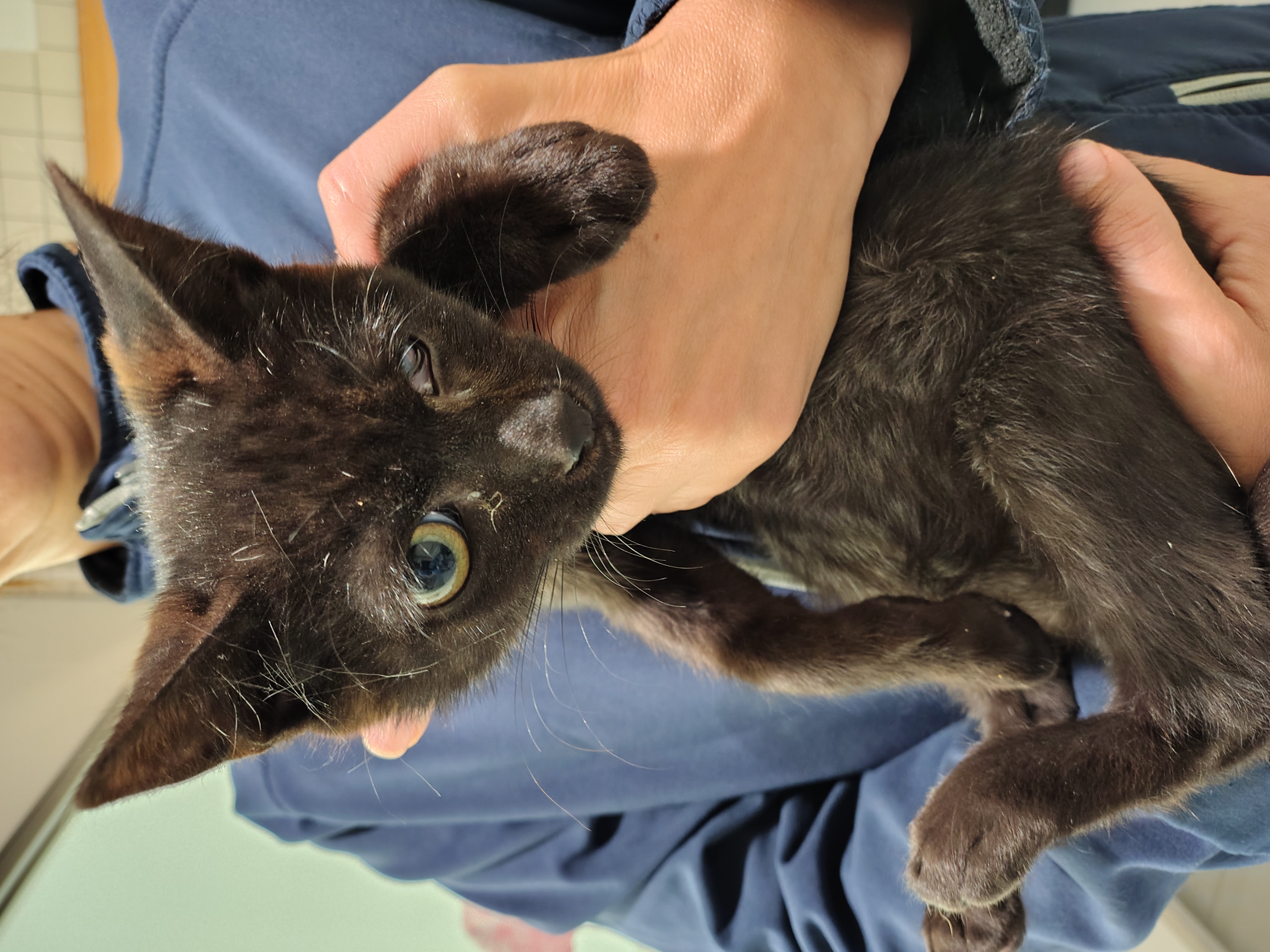 IMG_20250930_084349420_HDR