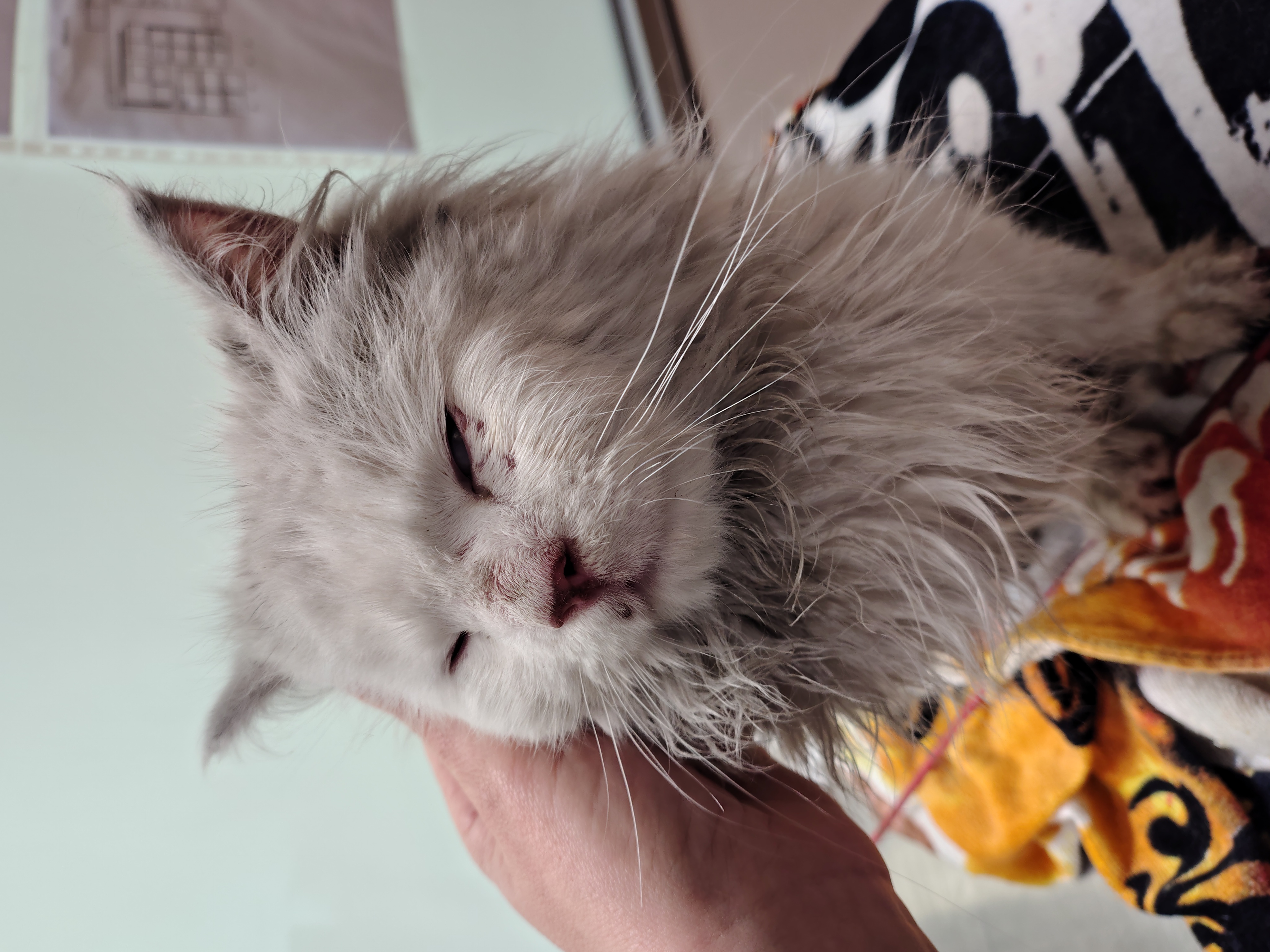 IMG_20260309_113728332_HDR