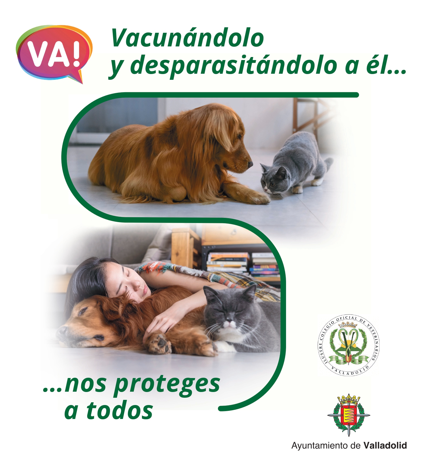 Microordenador cohete Sucediendo El Colegio de Veterinarios y el Ayuntamiento de Valladolid lanzan una campaña  para la vacunación y desparasitación de los perros y gatos | Portal Web del  Ayuntamiento de Valladolid